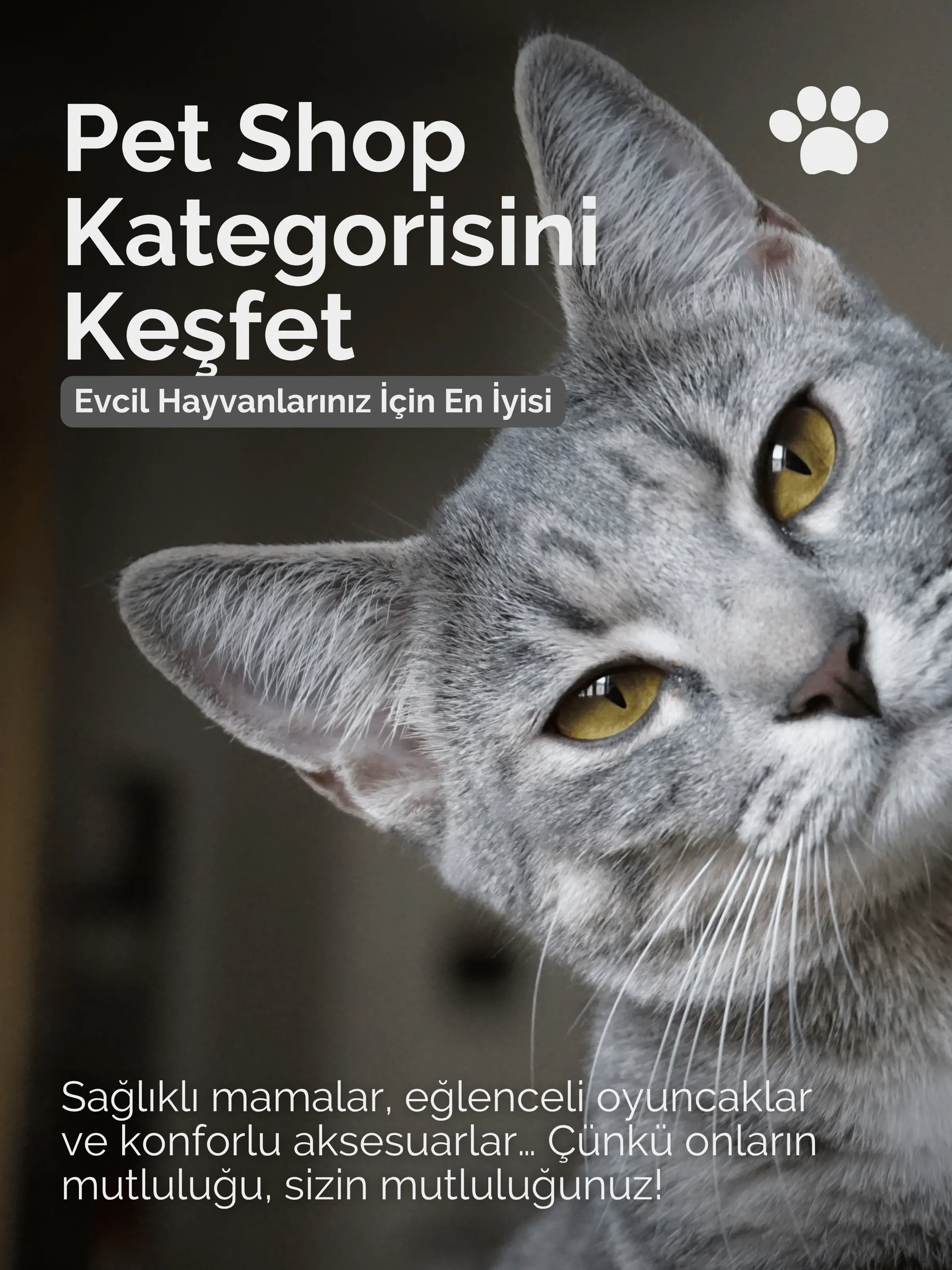 Petshop