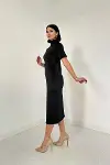 Siyah Balıkçı Yaka Elbise-2
