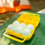Coghlans 6lı Yumurta Taşıma Kabı/Kırılmaz ve Kilitli Kapak-5