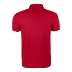 Evolite DeepRaw Erkek Polo T-Shirt - Kırmızı-4
