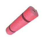 Evolite Pilates Yoga Matı/Kaymaz Yüzey ve Konforlu-2