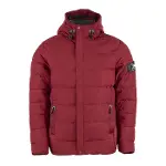 Evolite Vertex Erkek Mont-Bordo-6