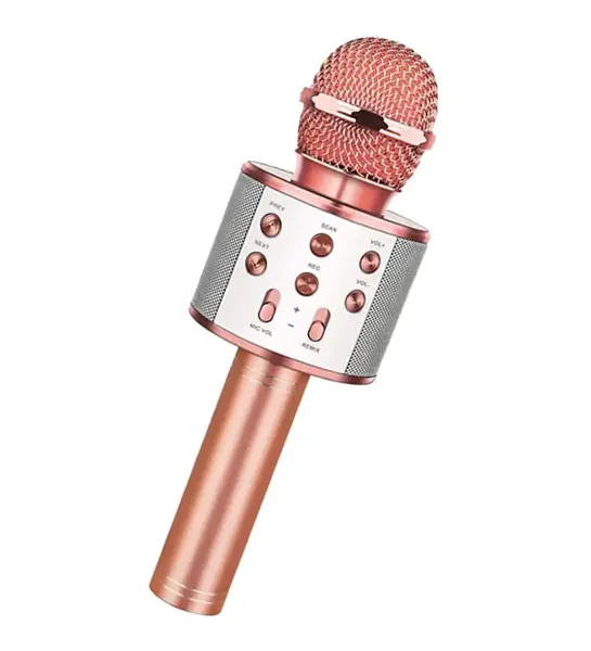Bluetooth Karaoke Mikrofon (4745)