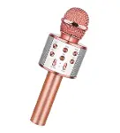 Bluetooth Karaoke Mikrofon (4745)-1