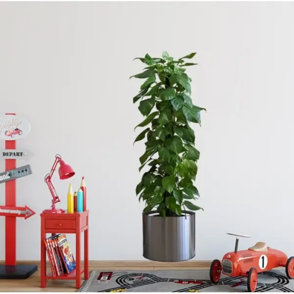 Saksılı Bitki Tasarımlı Yapışkanlı Sticker Resim 90*30 cm (4745)