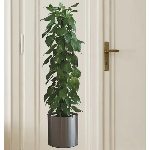 Saksılı Bitki Tasarımlı Yapışkanlı Sticker Resim 90*30 cm (4745)-2