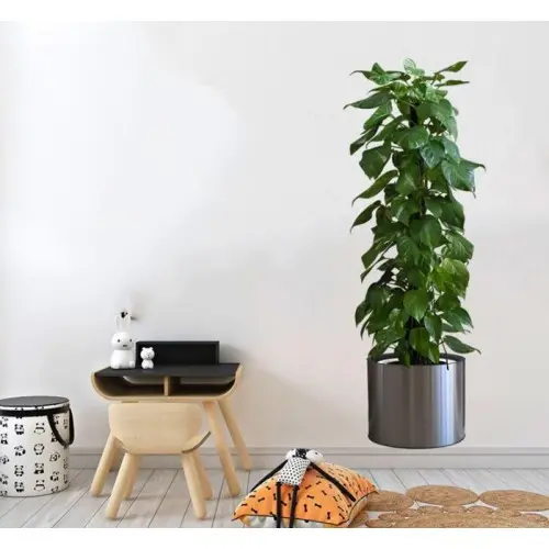 Saksılı Bitki Tasarımlı Yapışkanlı Sticker Resim 90*30 cm (4745)-3