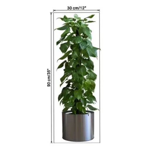Saksılı Bitki Tasarımlı Yapışkanlı Sticker Resim 90*30 cm (4745)-4