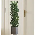 Saksılı Bitki Tasarımlı Yapışkanlı Sticker Resim 90*30 cm (4745)-2
