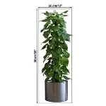 Saksılı Bitki Tasarımlı Yapışkanlı Sticker Resim 90*30 cm (4745)-4