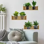 Raflı Bitki Tasarımlı Yapışkanlı Sticker 20*30 cm 3lü Set (4745)-1