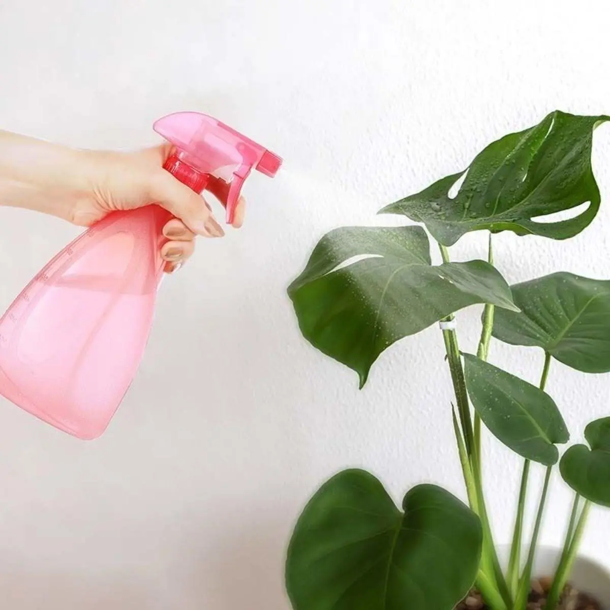 Çok Amaçlı Fısfıs Çiçek Sulama Plastik Su Sprey Şişesi 700 ml TP-219 (4745)-3