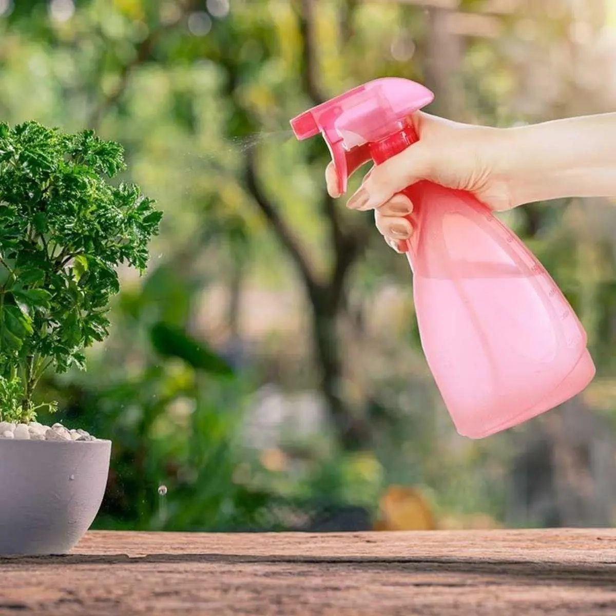Çok Amaçlı Fısfıs Çiçek Sulama Plastik Su Sprey Şişesi 700 ml TP-219 (4745)-5