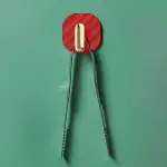 2li Yapışkanlı Retro Askılık Dolap Kapak Kulpu Kırmızı (4745)-2