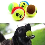 3&amp;apos;lü Renkli Desenli Tenis Topu Kedi Köpek Oyuncağı (4745)-3