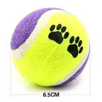 3&amp;apos;lü Renkli Desenli Tenis Topu Kedi Köpek Oyuncağı (4745)-4