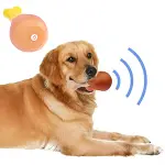 Köpekler İçin Oyuncak Tavuk Budu (4745)-3