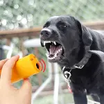 Ultrasonik Köpeksavar Köpek Kovucu Köpek Kornası Eğitim Cihazı (4745)-2