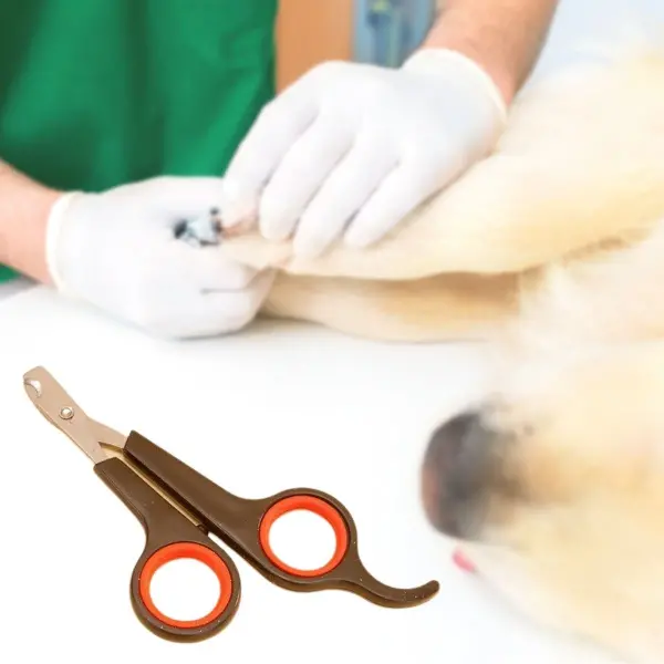 Küçük Çelik Uçlu Kedi Köpek Evcil Hayvan Tırnak Makası Pati Bakım Aleti Ergonomik Kaymaz Sap (4745)