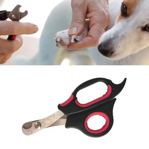 Büyük Irk Köpek Kedi Çelik Uçlu Evcil Hayvan Tırnak Makası Pati Bakım Aleti Ergonomik Kaymaz (4745)