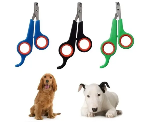 Kedi Köpek Tırnak Makası Renkli Poşetli (4745)