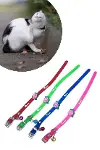 Çıngıraklı Zilli Sevimli Renkli Slikon Kedi Köpek Boyun Tasması (4745)-2
