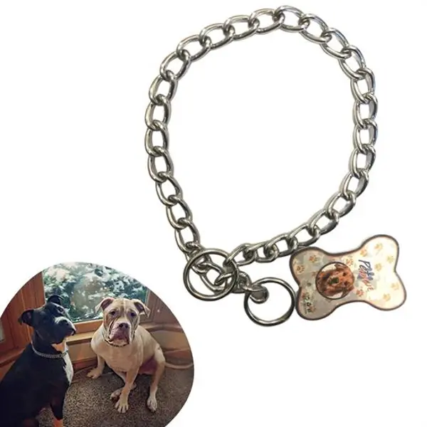 65 cm Uzunlukta Zincir Model Köpek İçin Boyun Tasması (4745)