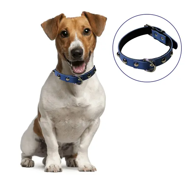 Yumuşak Dokulu Deri Köpek Gezdirme Boyun Tasması (Large) (4745)