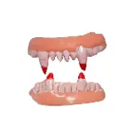 Takma Vampir Dişi 2 Adet vampir ve seyrek model (4745)-2