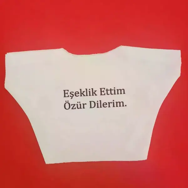 Eşeklik Ettim Yazılı Oyuncak Tişörtü