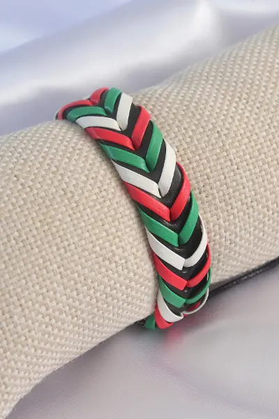 Karışık Renk İpli Deri Erkek Bileklik TJ-EB3583