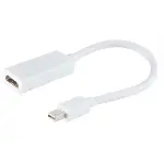 ZR138 Mini Dp Hdmı Çevirici Kablo 30 Cm-2