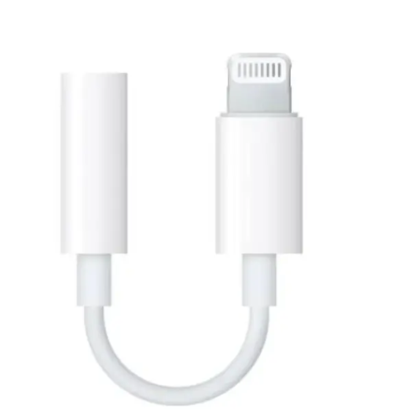ZR58 Lightning Aux Çevirici