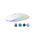 ZR215 Cba100 Rgb Beyaz Şarjlı Mouse-2