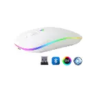 ZR215 Cba100 Rgb Beyaz Şarjlı Mouse-1