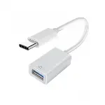 ZR575 Type-C To Otg Usb 3.0 Çevirici-2