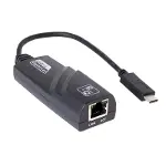 DK-AC-U31XGLAN Type-C-10/100/1000 Gb Dönüştür-1