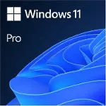 FQC-10556 Windows OEM 11 Pro 64Bit Türkçe-1