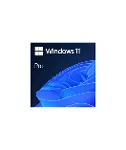 FQC-10572 Windows ESD 11 Pro Elektronik Lisans-1