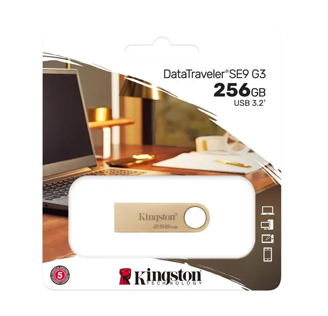 256G DataTraveler DTSE9G3/256GB
