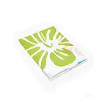 ÇİF KANAT PVC BANYO PERDESİ 2  PARÇA  X 90X180CM - 12 HALKALI (4745)-3