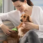 Kedi ve Köpekler İçin Uzun Tüylü Köpek Tarağı Tüy Toplayıcı tarak Small (4745)-2