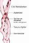 Gül Suyu Tonik Arındırıcı Aydınlatıcı Ve Gözenek Sıkılaştırıcı Leke Karşıtı Tonik 190 ml-4