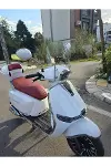 Küba MT 50 Pro Plus Ön Cam 2024-2026 Model 39cm Siyah Renkli 4mm APARATSIZ-6