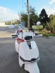 MOTOCAM Küba MT 50 Pro Plus Ön Cam 2024-2026 Model 43cm Şeffaf Renkli 4mm Elcikli APARATSIZ-2