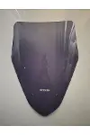QJ Fort 350 Ön Cam 2023-2026 Model 43cm Füme Renkli 4mm SPORTİF-1