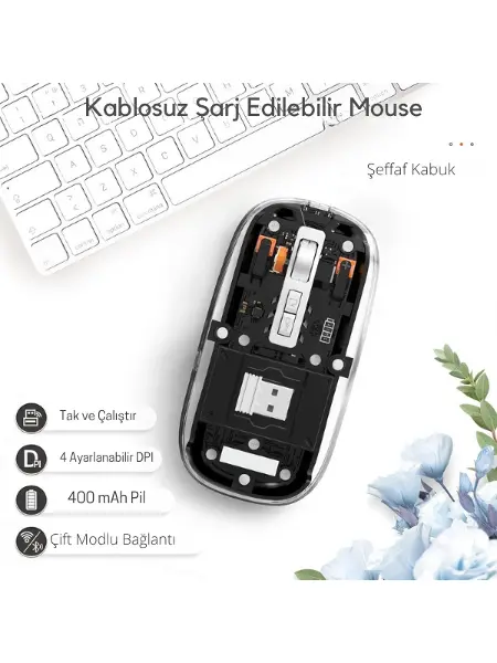 Siyah 501 Bt+ Wireless Mouse ZR1133