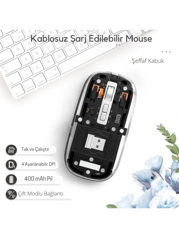 Siyah 501 Bt+ Wireless Mouse ZR1133