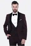Desenli Bordo Velvet Çıkma Yaka Takım Elbise - Wessi-1