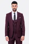 Desensiz Slim Fit Bordo Erkek Takım Elbise - Wessi-5